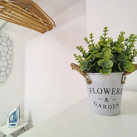 Alisios Encanto By Sea There Fuerteventura Коральео