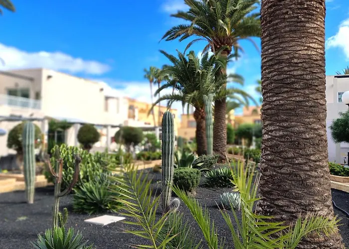 Alisios Encanto By Sea There Fuerteventura Apartment *