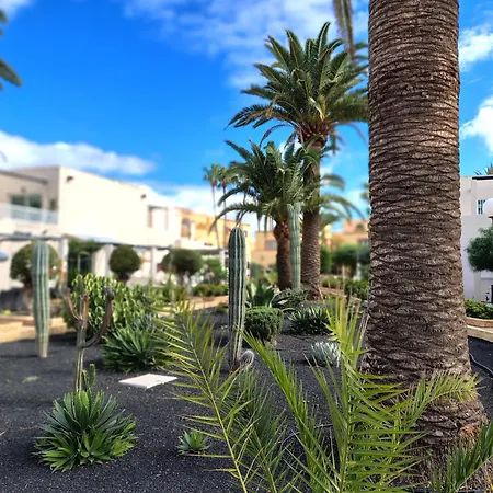 Alisios Encanto By Sea There Fuerteventura Appartement *