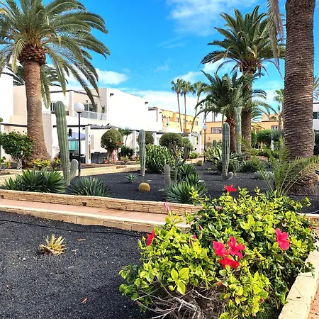 Alisios Encanto By Sea There Fuerteventura