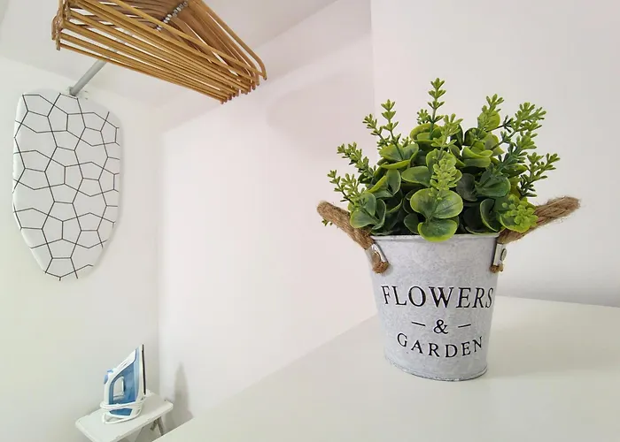 Alisios Encanto By Sea There Fuerteventura コラレホ