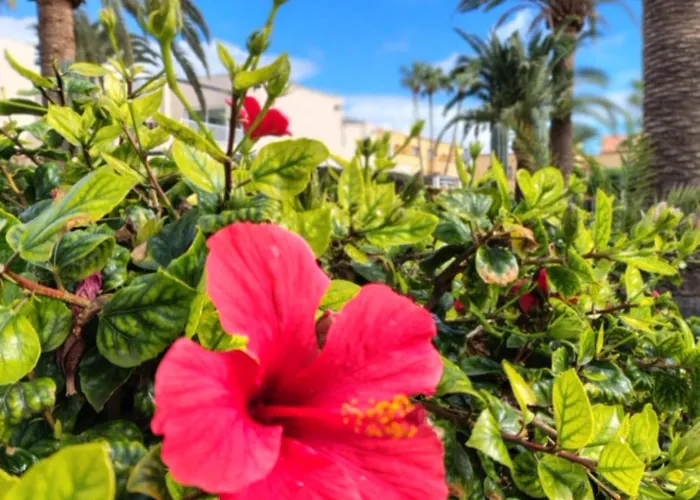 Alisios Encanto By Sea There Fuerteventura アパート *