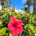 Alisios Encanto By Sea There Fuerteventura Lejlighed *